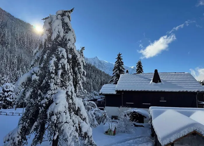 Apartment 7P Balcony Mountain View Parking Ski 公寓 霞慕尼