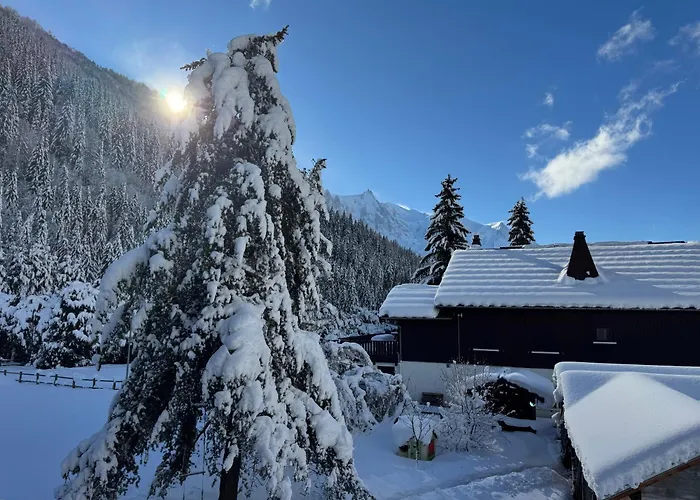 Appartement Renovated 7p Argentiere - Close To Slopes! *